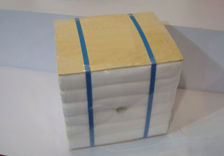 Ceramic Fiber Module 06